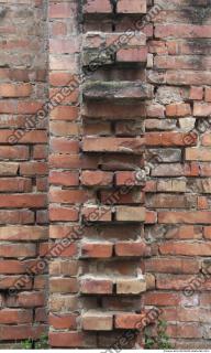 Photo Texture of Wall Brick 0008